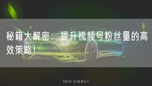 秘籍大解密：提升视频号粉丝量的高效策略！