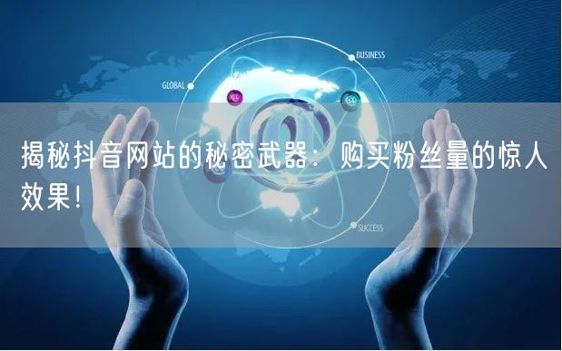 揭秘抖音网站的秘密武器：购买粉丝量的惊人效果！