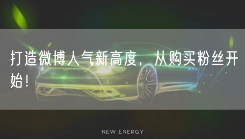 打造微博人气新高度，从购买粉丝开始！