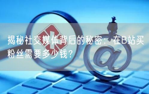 揭秘社交媒体背后的秘密：在B站买粉丝需要多少钱？