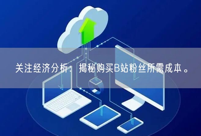 关注经济分析：揭秘购买B站粉丝所需成本。