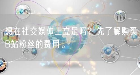 想在社交媒体上立足吗？先了解购买B站粉丝