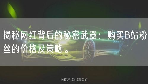 揭秘网红背后的秘密武器：购买B站粉丝的价