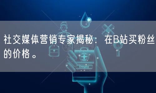 社交媒体营销专家揭秘：在B站买粉丝的价格。