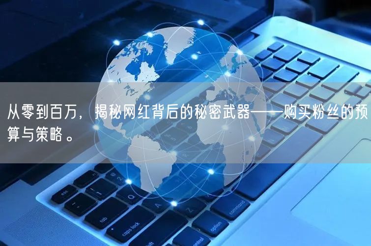 从零到百万，揭秘网红背后的秘密武器——购买粉丝的预算与策略。