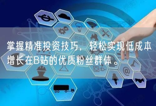 掌握精准投资技巧，轻松实现低成本增长在B站的优质粉丝群体。