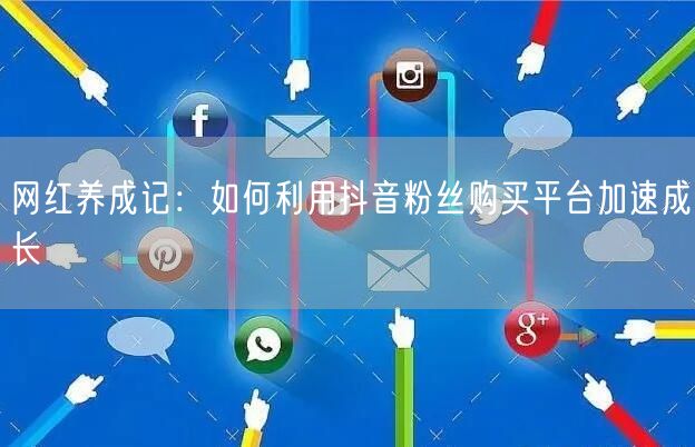 网红养成记：如何利用抖音粉丝购买平台加速