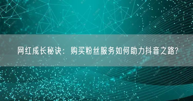 网红成长秘诀：购买粉丝服务如何助力抖音之路?