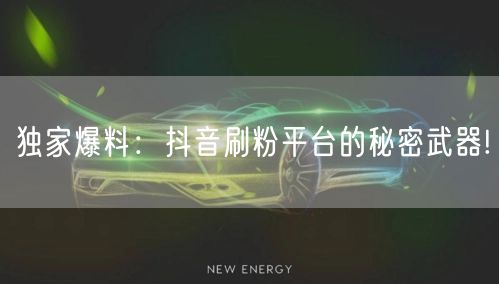 独家爆料：抖音刷粉平台的秘密武器!