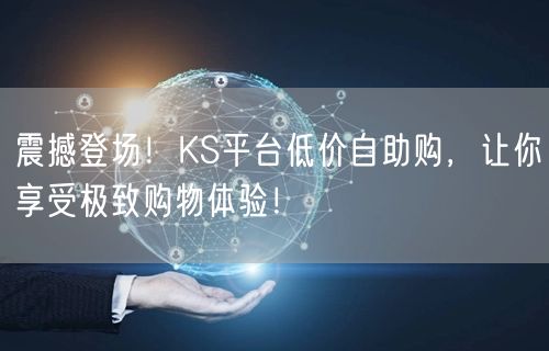 震撼登场！KS平台低价自助购，让你享受极致购物体验！