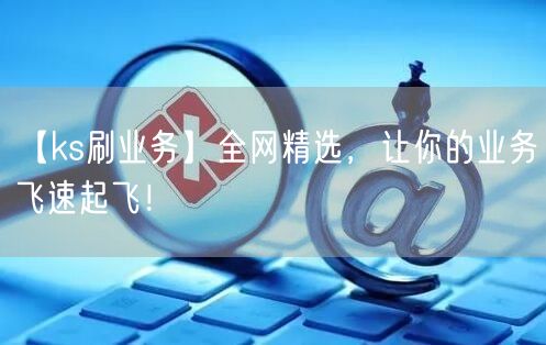 【ks刷业务】全网精选，让你的业务飞速起飞！